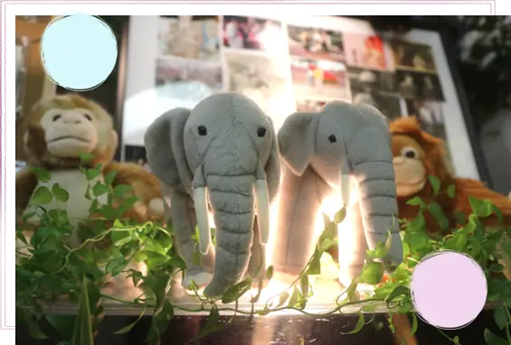 アニマルなお葬式