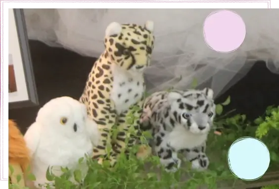 アニマルなお葬式