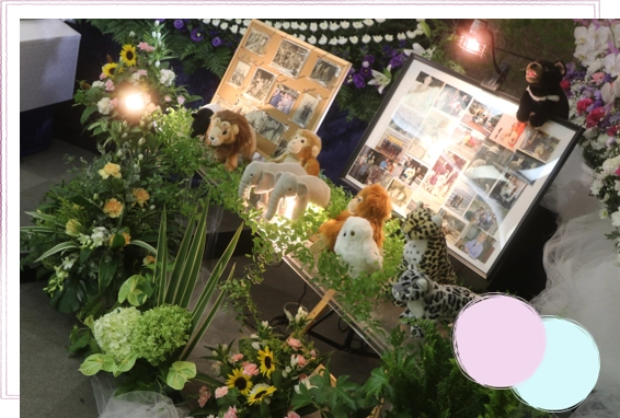 アニマルなお葬式